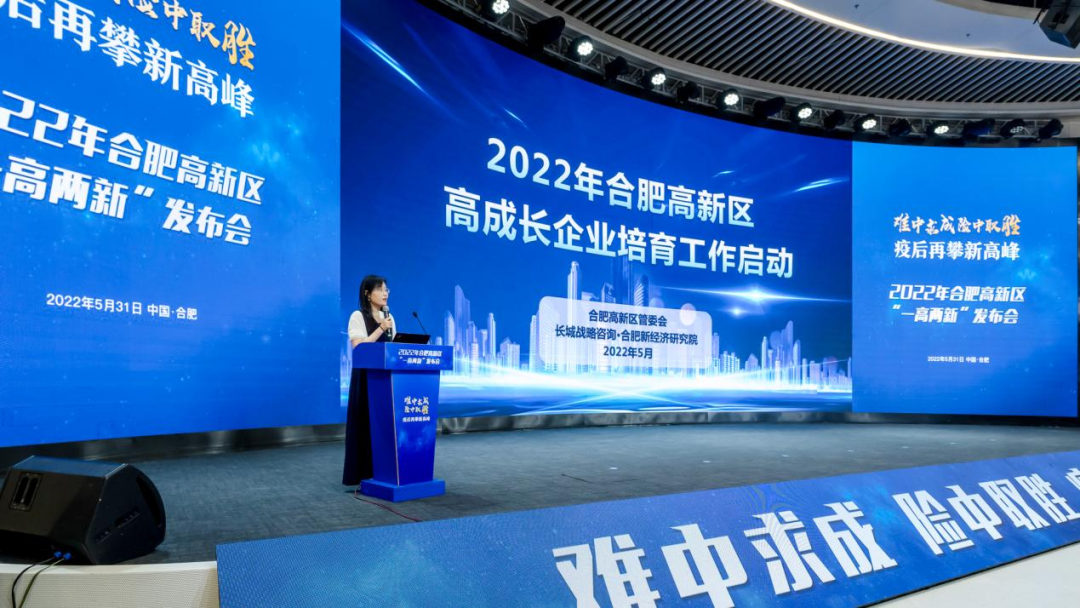 合肥高新区2022年"一高两新"发布会举行6