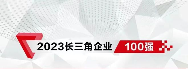 2023长三角企业100强