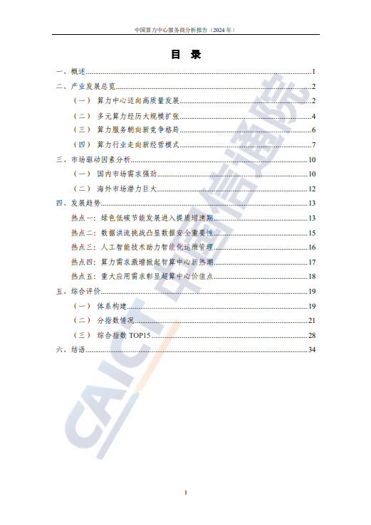 中国算力中心服务商分析报告(2024年) 