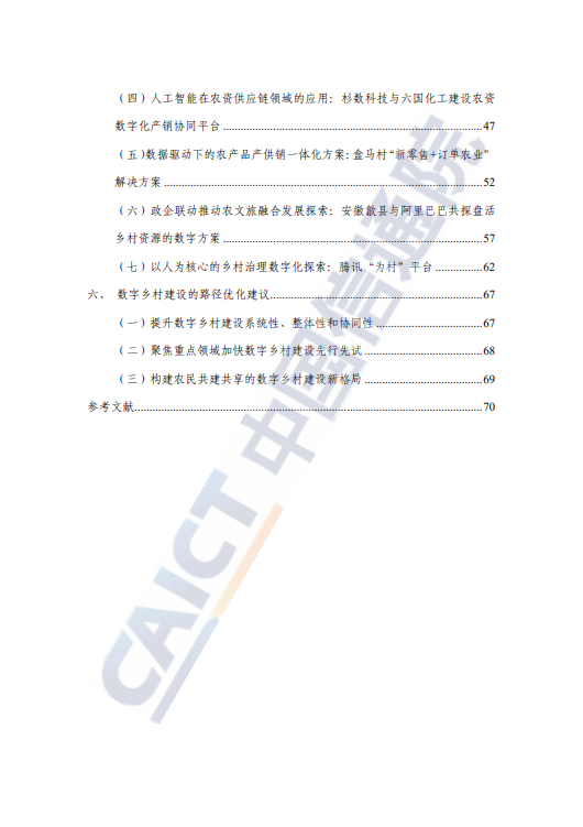 数字乡村发展研究报告 