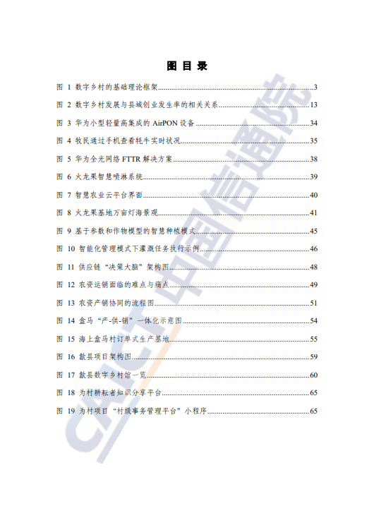 数字乡村发展研究报告 