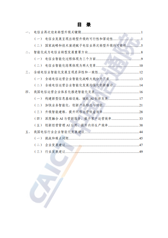 电信业发展蓝皮书(2024 年)