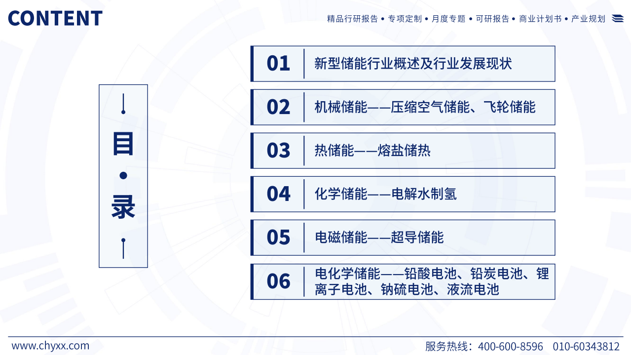 2024年储能行业市场全景分析及发展趋势展望报告