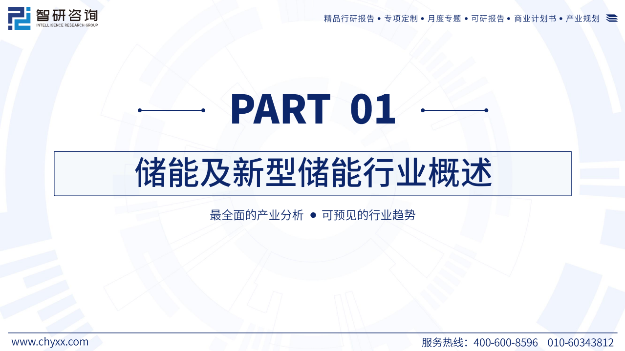 2024年储能行业市场全景分析及发展趋势展望报告