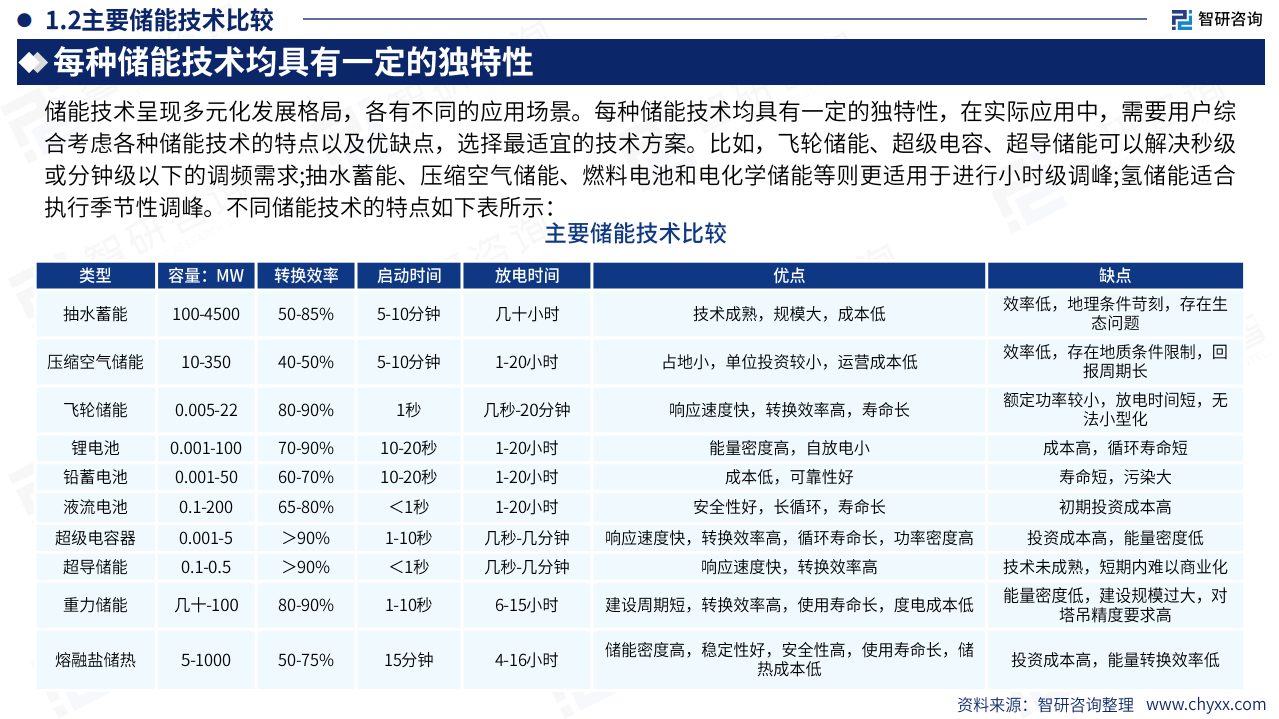 2024年储能行业市场全景分析及发展趋势展望报告