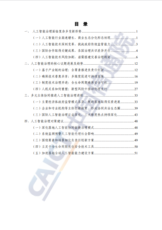 人工智能治理蓝皮书(2024 年)